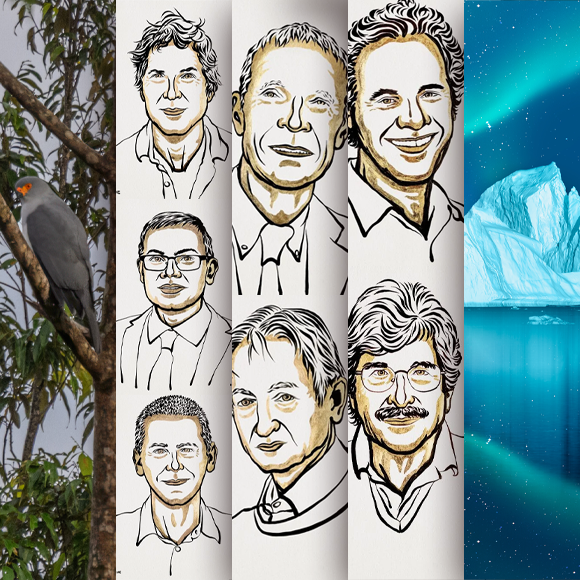 המחקרים החדשים ביותר: מהנשמדע 12/10/24