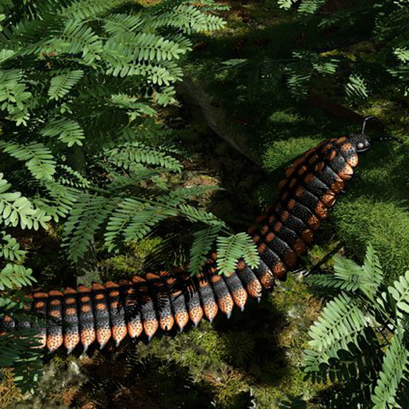 הממצאים המפתיעים על רבי הרגליים העצומים