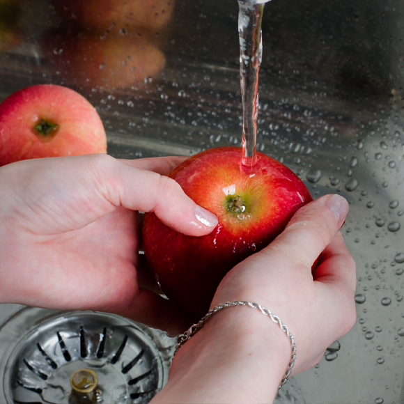 תפוחים וחיידקים: מחלות ללא גבולות