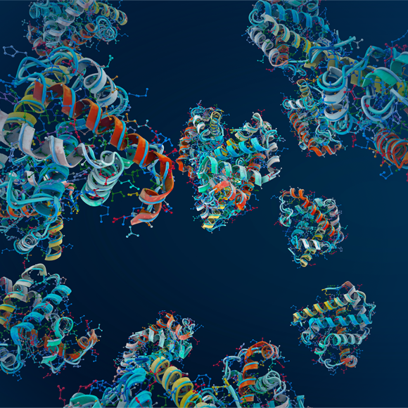 נובל כימיה 2024: תכנון חלבונים