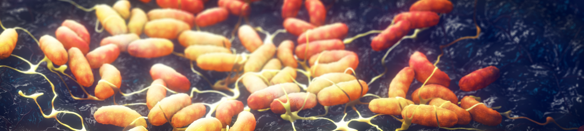 أمراض بلا حدود