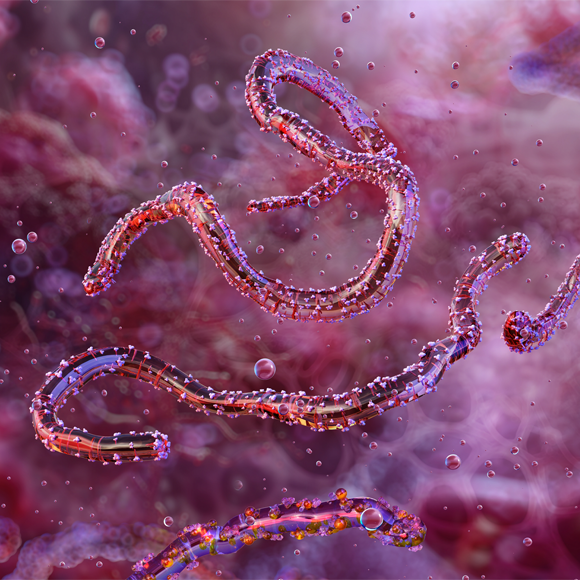 חיסוני השפעת כבר כאן: מחלות ללא גבולות