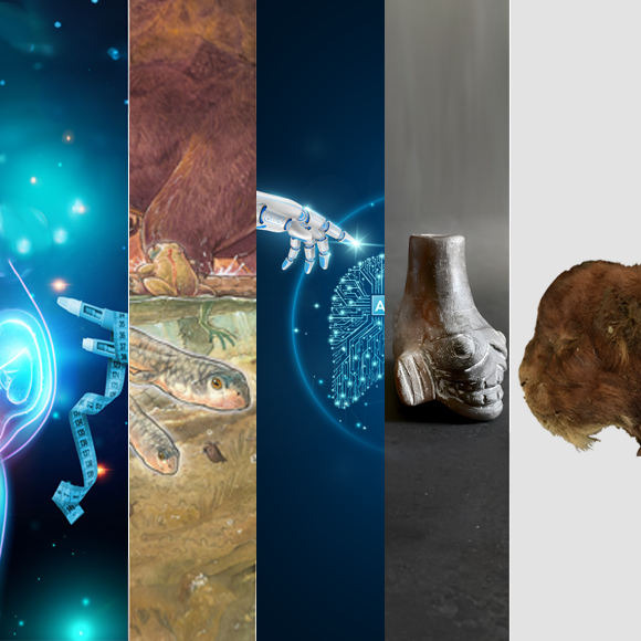 המחקרים החדשים ביותר: מהנשמדע 30/11/2024