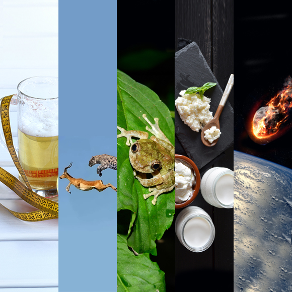 המחקרים החדשים ביותר: מהנשמדע 9/11/2024