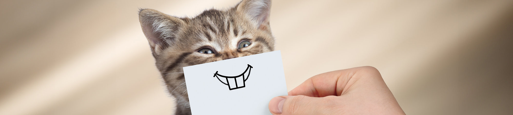 תן חיוך (וגם צחוק)