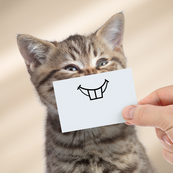 תן חיוך (וגם צחוק)