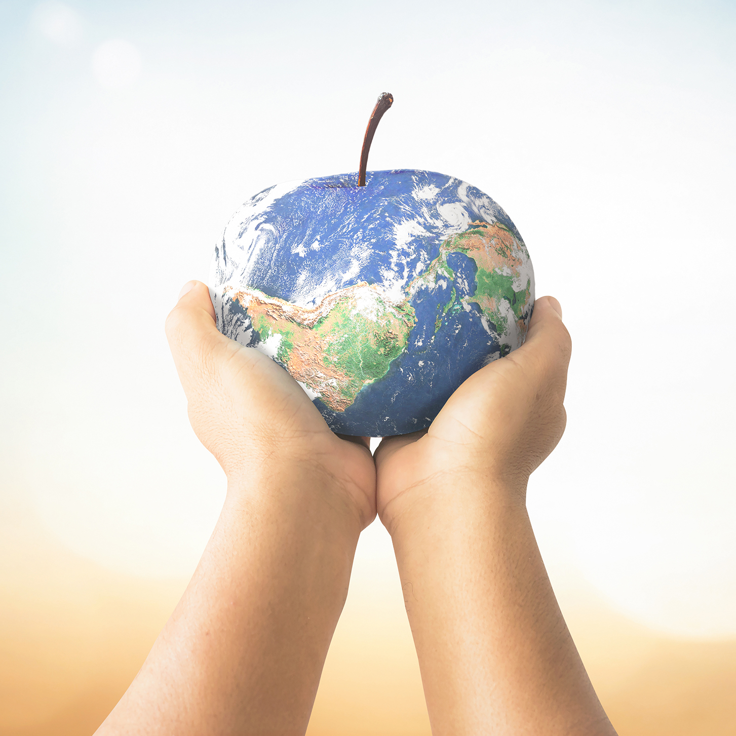 لحظة … قبل أن ترموا البقايا