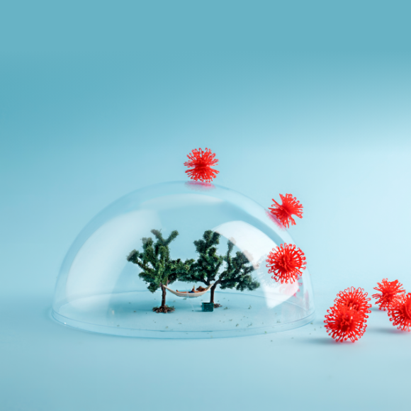 מחלות ללא גבולות: אבעבועות הקוף ומלריה