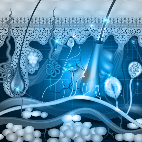 כשהמחקר פוגש את העונג