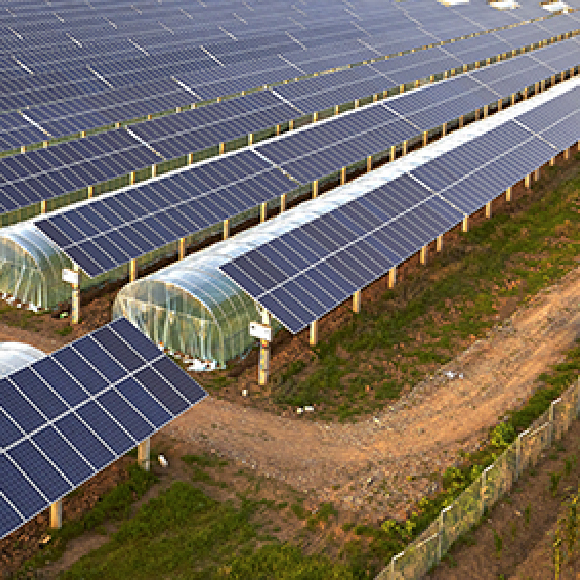 إنتاج غذاء من الهواء