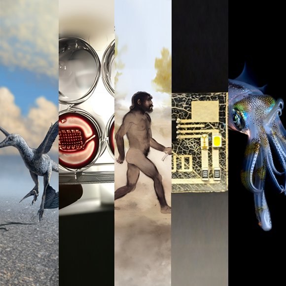 המחקרים החדשים ביותר: מהנשמדע 21/12/2024