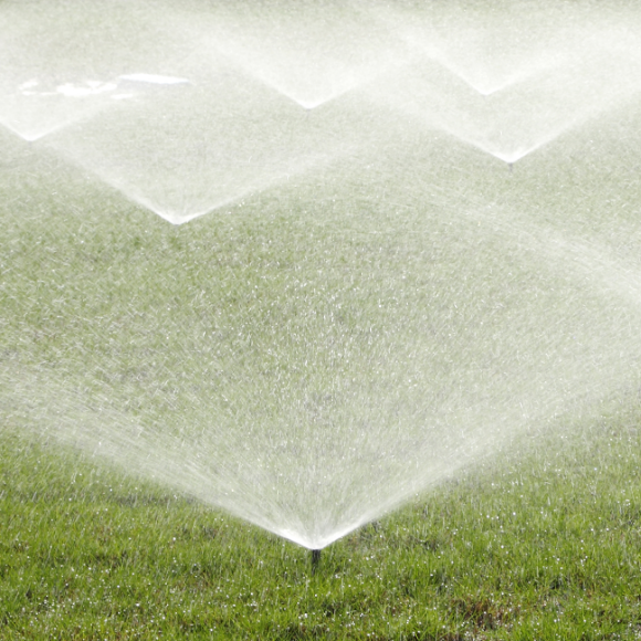 חידה ותיקה זוכה לפתרון