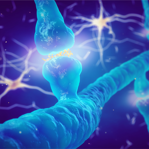 The Wonders Of Neurotransmitters: Dopamine