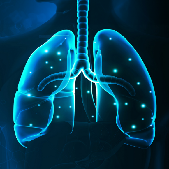 התאים שמתקנים את הריאות