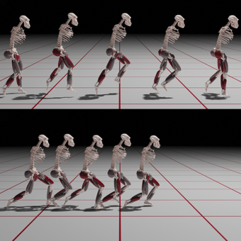 מרוץ אבולוציוני