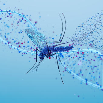 המדע לניהול יתושים