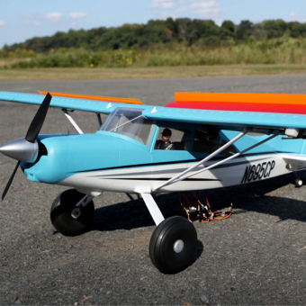 להתהדר בנוצות כן לנו