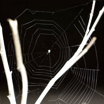 העכביש שמקשיב וקולע