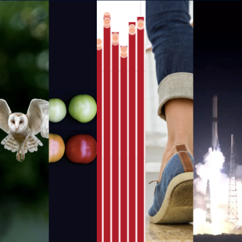 המחקרים החדשים ביותר: מהנשמדע 18/1/2025