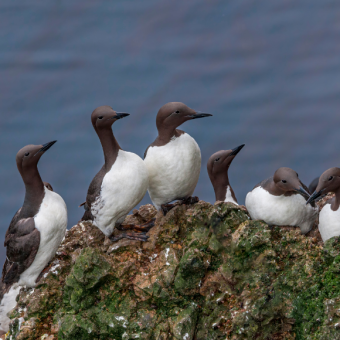 גל חום שאין ממנו חזרה