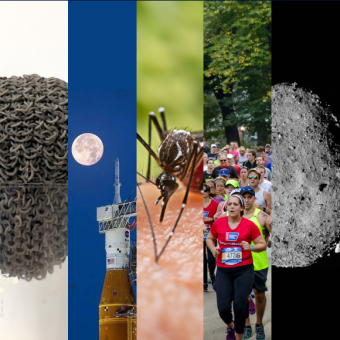 המחקרים החדשים ביותר: מהנשמדע 1/2/2025