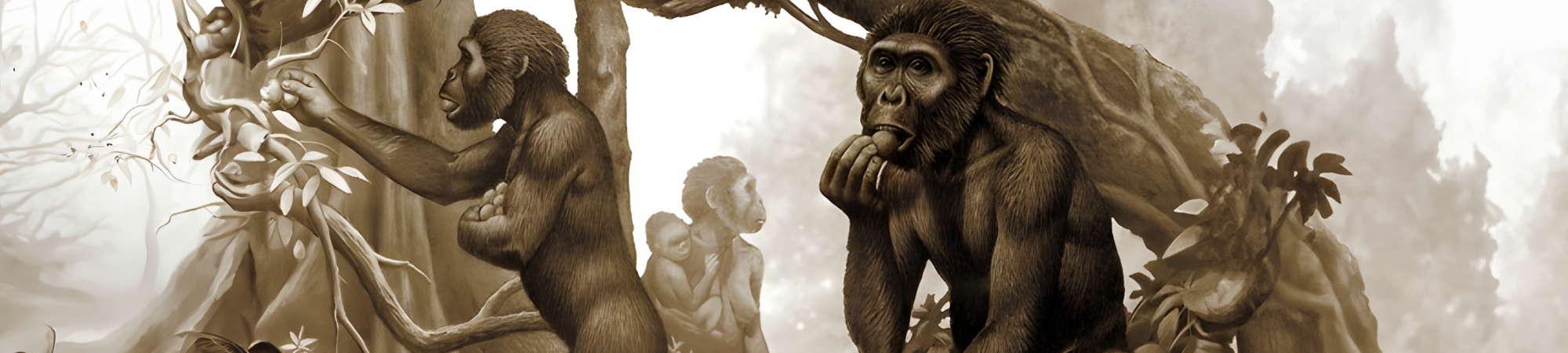 סיפור עם בשר