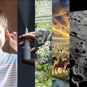 המחקרים החדשים ביותר: מהנשמדע 22/2/2025