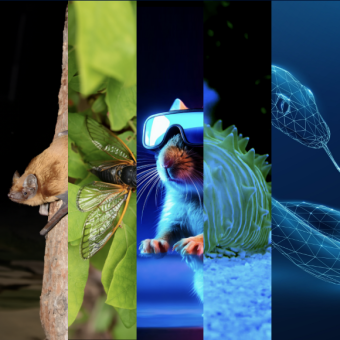 המחקרים החדשים ביותר: מהנשמדע 8/2/2025