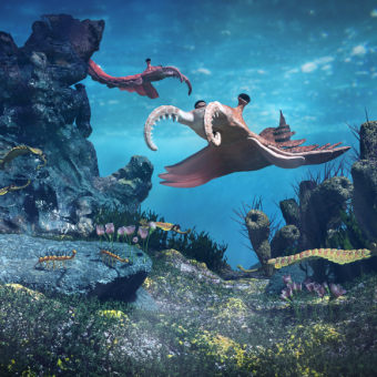 המרוץ האבולוציוני הראשון