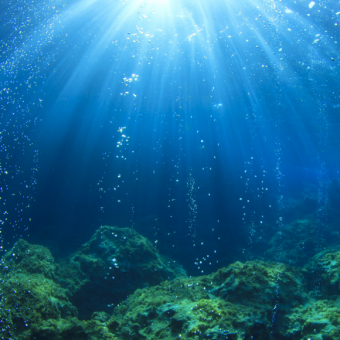 تضاؤل كمية الأكسجين في المحيطات