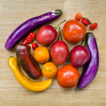 من أمريكا الجنوبيّة إلى العالم أجمع: الفصيلة الباذنجانيّة