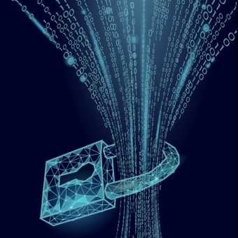 חומות בתוך הרשת