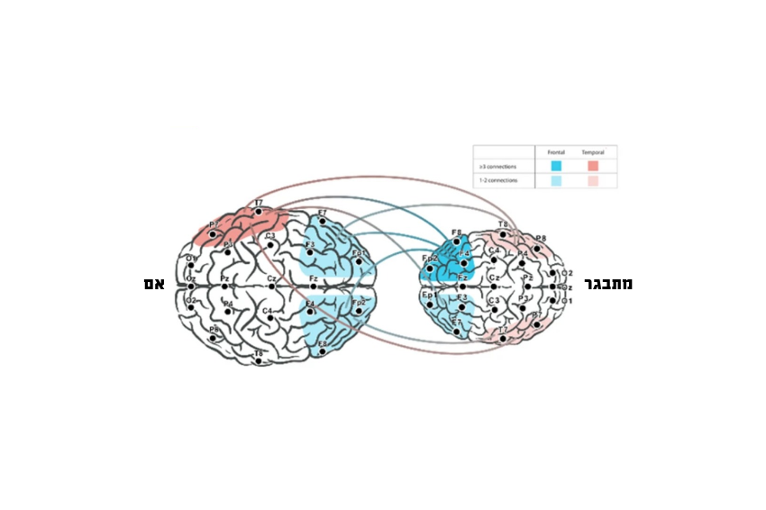 תהליכי סנכרון יכולים להתרחש גם כשהתקשורת מתבצעת באמצעות מדיה דלילה במידע שכוללת רק טקסט, אולם בצורה פחותה בהשוואה לתקשורת פנים-אל-פנים. מתוך המאמר Schwartz, L., et al. Sci Rep 2024