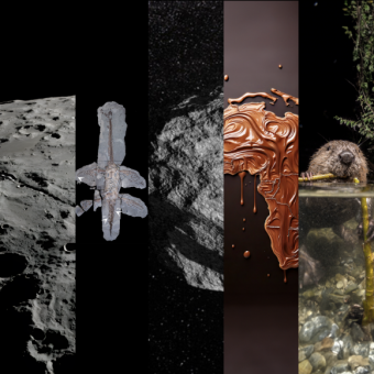 המחקרים החדשים ביותר: מהנשמדע 1/3/2025