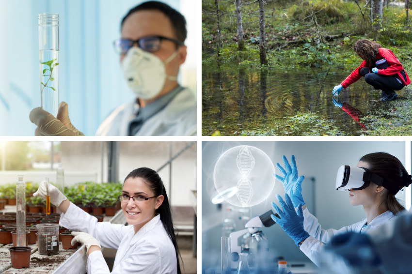 קולאז' ביולוגיה: מדע אמיתי ולא אמיתי בביולוגיה: ביולוגית אוספת דגימה למבחנה משלולית ביער,  מדען מחזיק צמח במבחנה גדולה במיוחד, מדענית אחרת צופה בהולוגרמה של DNA במשקפי מציאות מדומה וחוקרת צעירה בחלוק לבן עושה דברים עם צמחים | מקור: Fotopogledi, Stock-Asso, Melnikov Dmitriy, Budimir Jevtic - Shutterstock