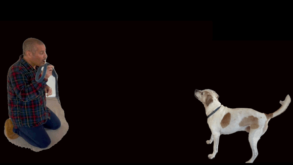 ומה לגבי הגיף השני? מה הכלב מרגיש שם?