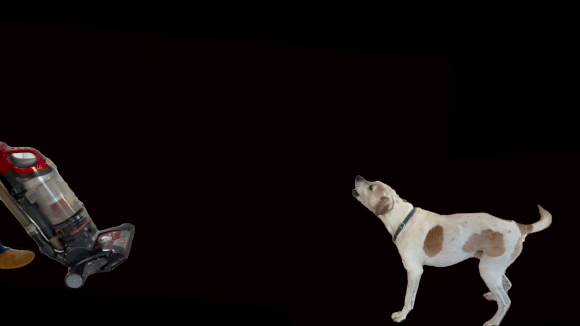 הסתכלו על הכלב בגיף שלפניכם, ונסו לנחש: האם הוא מרגיש רגשות חיוביים או שליליים? הוא שמח או מפחד, רגוע או עצוב?