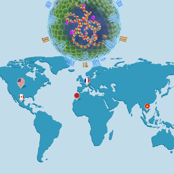 מחלות ללא גבולות: בסימן פריחת החצבת