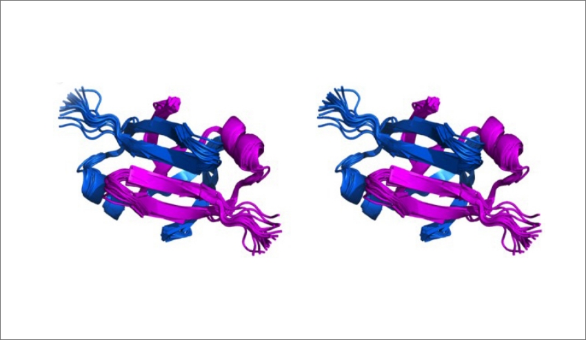 בתוך התא של חיידקי E. coli מצויים שני חומרים שהיא כינתה MazE ו-MazF. המבנה של חלק מחלבון MazE | מתוך המאמר Zorzini et al., 2015