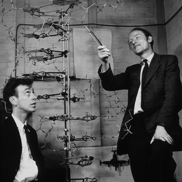 שרדינגר שיער את קיומו של "גביש בלתי מסודר" בתא החי שמכיל את המידע התורשתי. ג'יימס ווטסון ופרנסיס קריק עם מודל של מולקולת DNA, היא ה"גביש" שחזה שרדינגר | A. Barrington Brown, © Gonville & Caius College / Science Photo Library