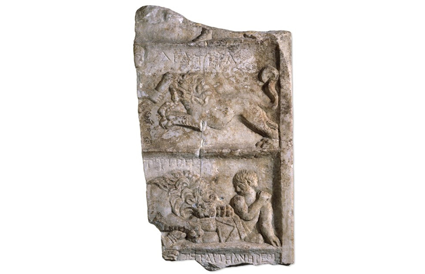 Marble-relief-with-lion-and-gladiator: הראיה המוחשית הראשונה, מחוץ לאמנות ולכתב, לכך שגלדיאטורים אכן נלחמו נגד חיות טרף. גלדיאטור נלחם באריה: תבליט שיש | The Trustees of the