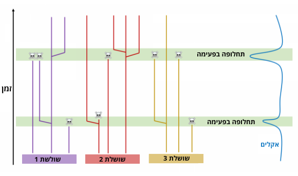 אירועי סביבה קיצוניים אחראים לתקופות שבהן יש גם הכחדה וגם היווצרות של מינים חדשים רבים. אילוסטרציה של תיאוריית התחלופה-בפעימה | Jonathan R. Hendricks is based on fig. 4 in Vrba (1993).