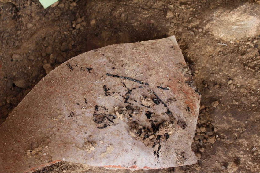 אפשר להשוות בין תארוך הפחמן לממצאים מתוארכים אחרים, ולגלות את הסטיות מעקום הכיול. אניצי קש מפוחמים על כד מתקופת חורבן בית ראשון | צילום: יוהנה רגב