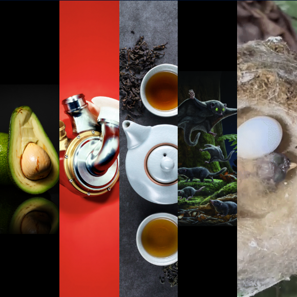 המחקרים החדשים ביותר: מהנשמדע 29/3/2025