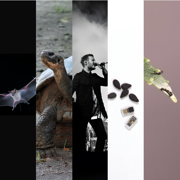 המחקרים החדשים ביותר: מהנשמדע 26/4/2025