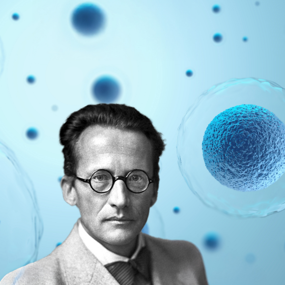 החיים על פי שרדינגר