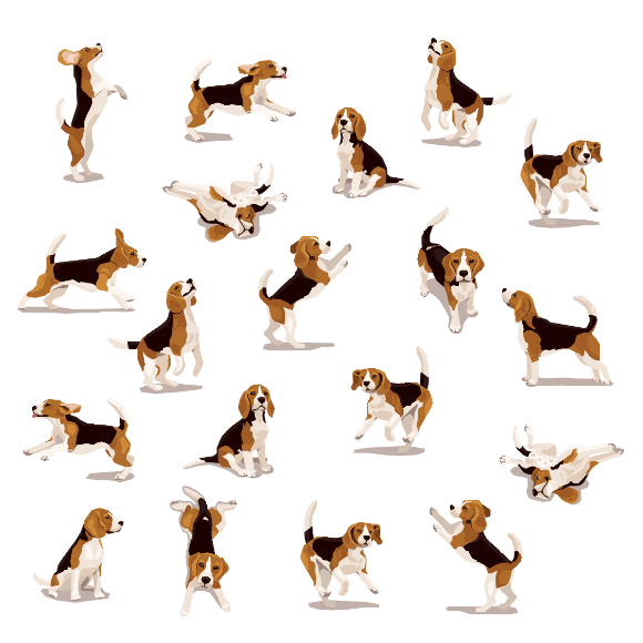 האם אתם באמת יודעים מה הכלב שלכם מרגיש?