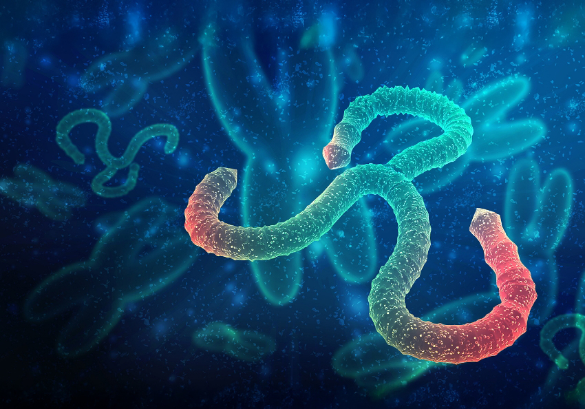 טבלייה פשוטה בעלת יעילות רחבת טווח יכולה להציע פתרון מציל חיים באזורים מעוטי תשתיות. המחשה של נגיף אבולה | Shutterstock, ranjith ravindran 