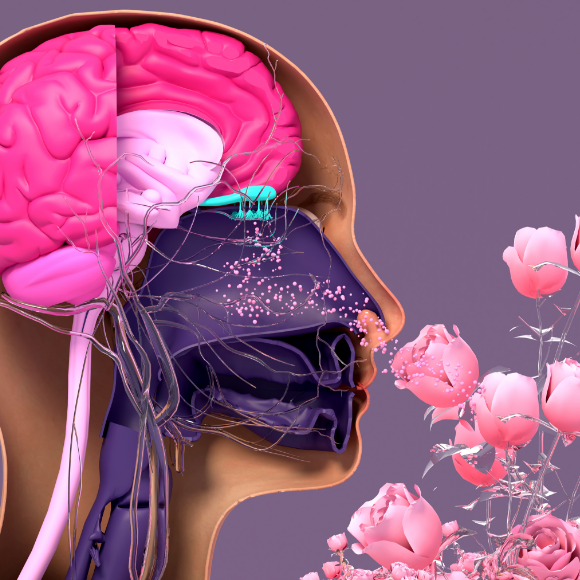 לטפל בעזרת חיידקים דרך האף