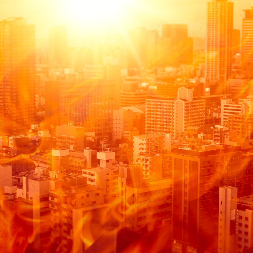 התחזית: יהיה חם וימותו יותר